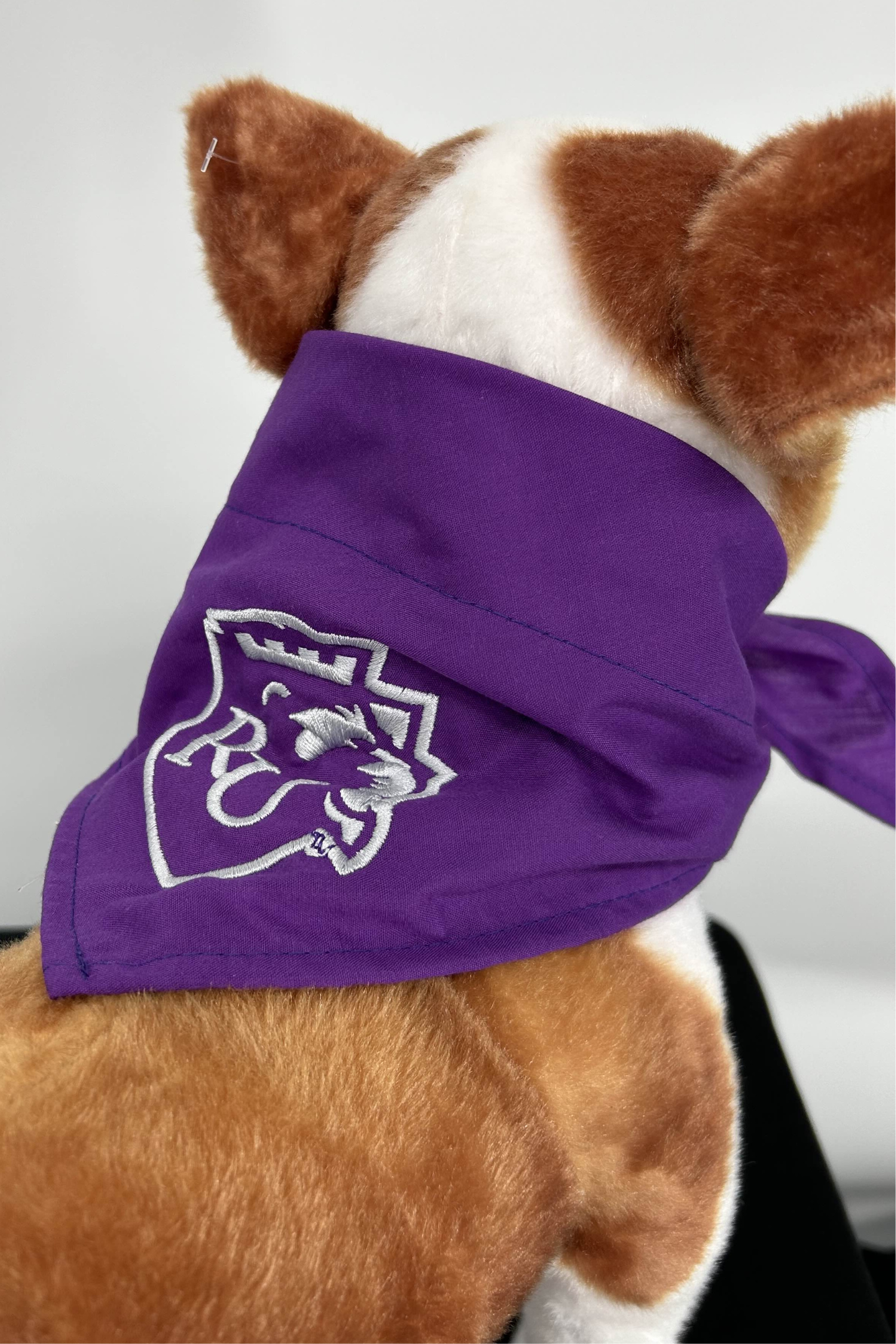 Dog Bandana
