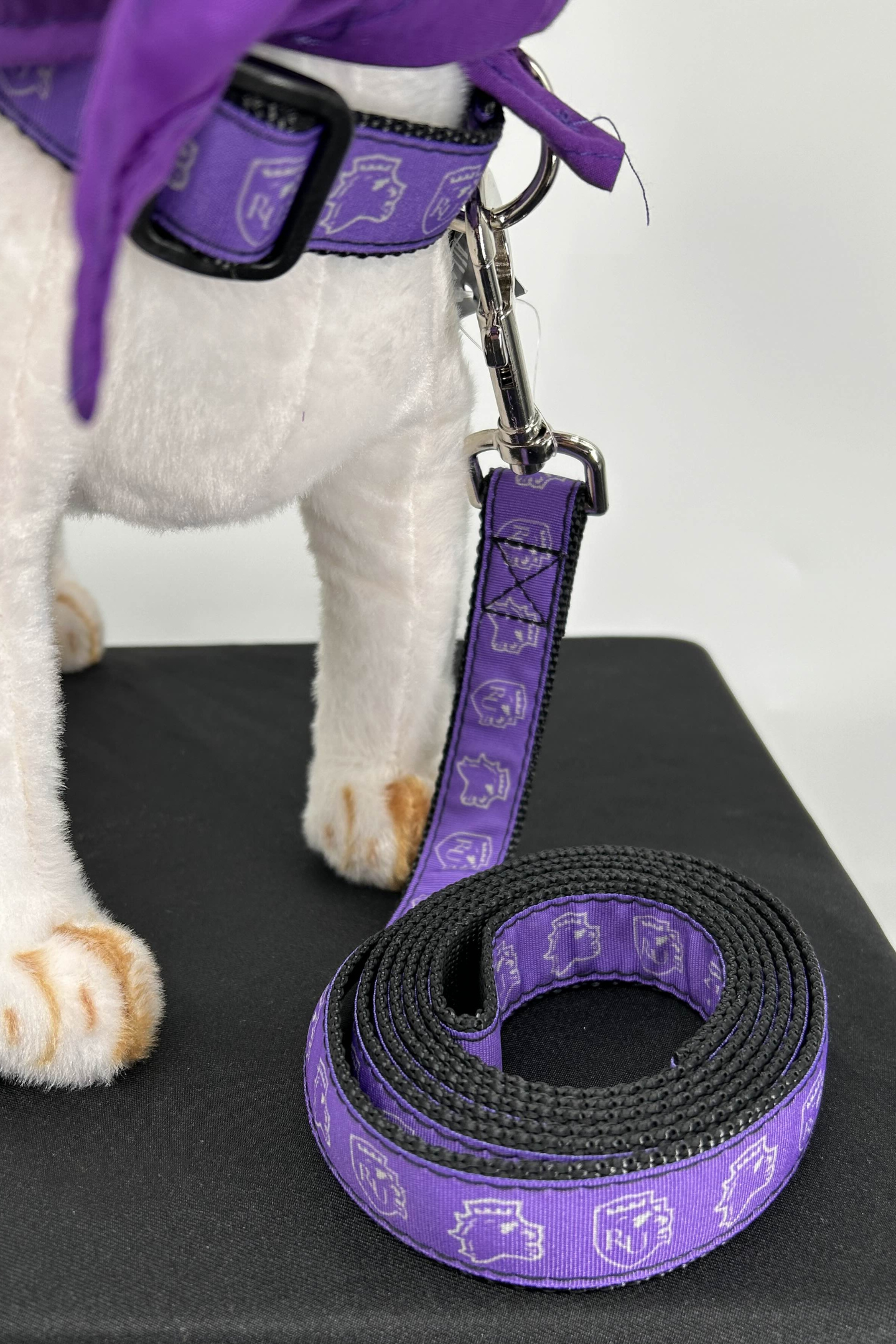 Dog Leash